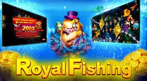 bd678 bet